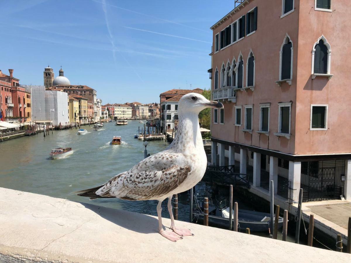 Regina Studium Lägenhet Venedig Exteriör bild